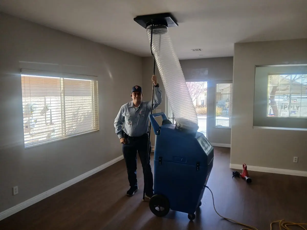Professional Dryer Vent Cleaning work inside a Belgrade home